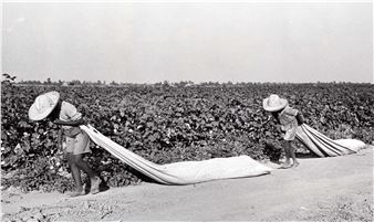 ALFRED EISENSTAEDT (1898–1995)
Cotton Sharecroppers, Scott, Mississippi 1936