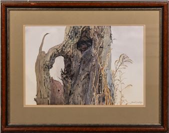 A decaying tree stump - David Coolidge