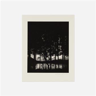 Lake Numakawa, Japan - Pentti Sammallahti