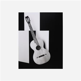 Gitarre-01-2009 (from the Flowers, Fruits & Portraits series