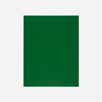 Monochrome-06-2008 (from the Flowers, Fruits & Portraits series