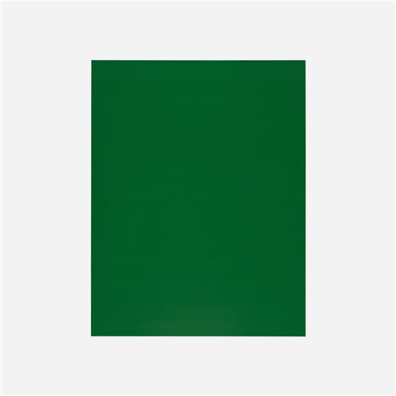 Monochrome-06-2008 (from the Flowers, Fruits & Portraits series - Shirana Shahbazi