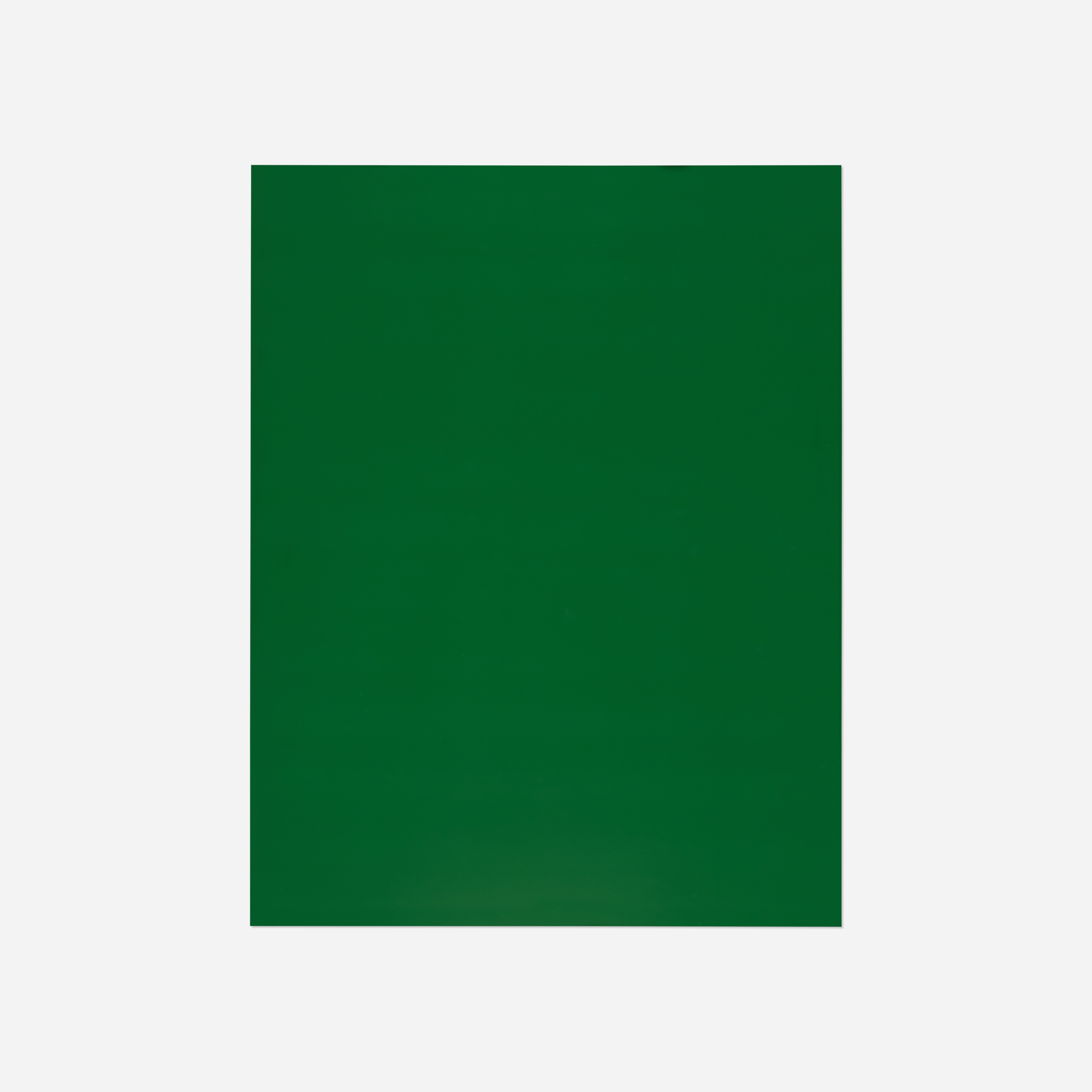 Artwork by Shirana Shahbazi, Monochrome-06-2008 (from the Flowers, Fruits & Portraits series, Made of C-Print Mounted To Aluminum