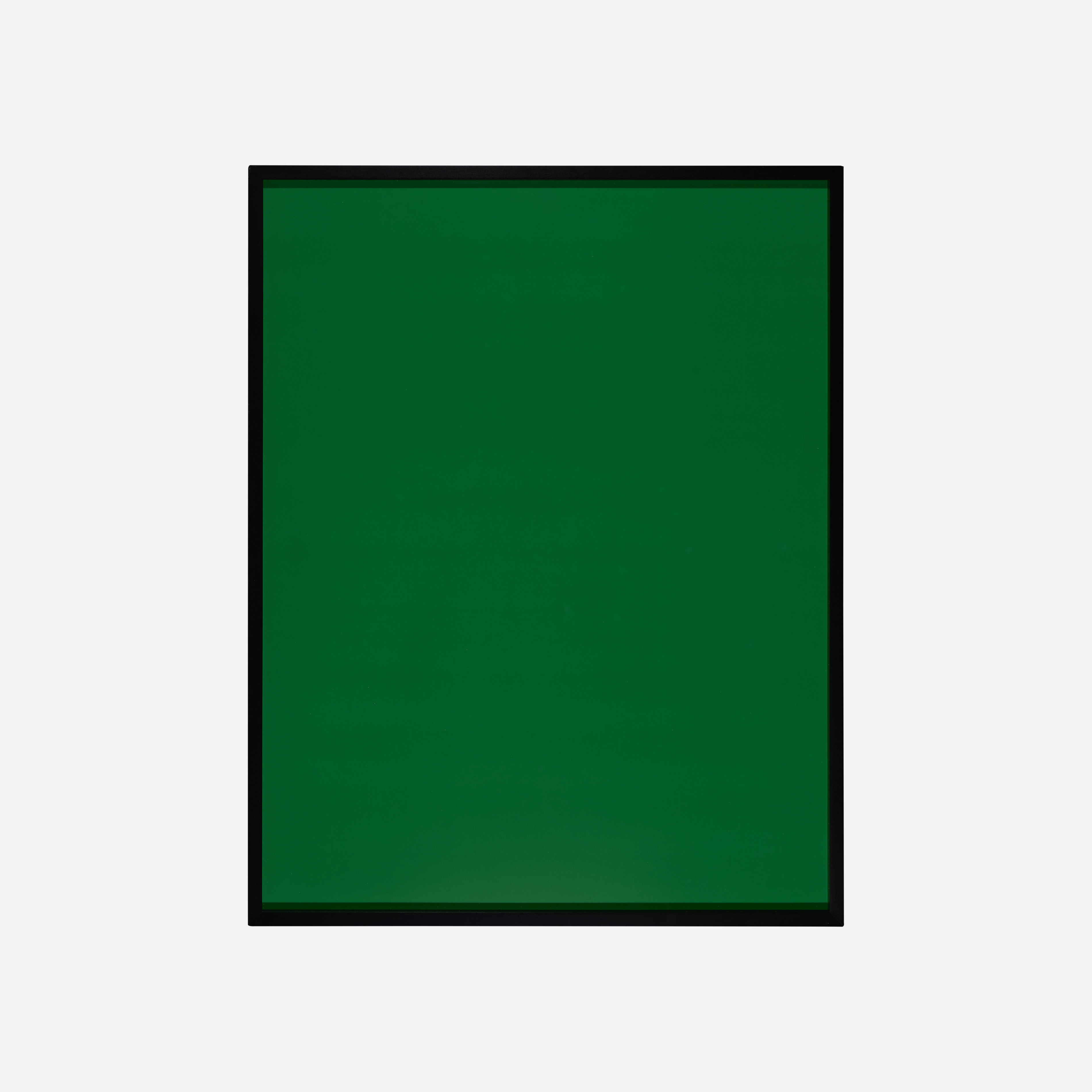 Artwork by Shirana Shahbazi, Monochrome-06-2008 (from the Flowers, Fruits & Portraits series, Made of C-Print Mounted To Aluminum