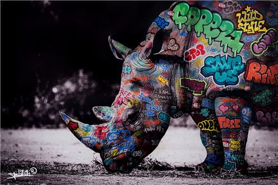 Rhinoceros by Maxim Blachere