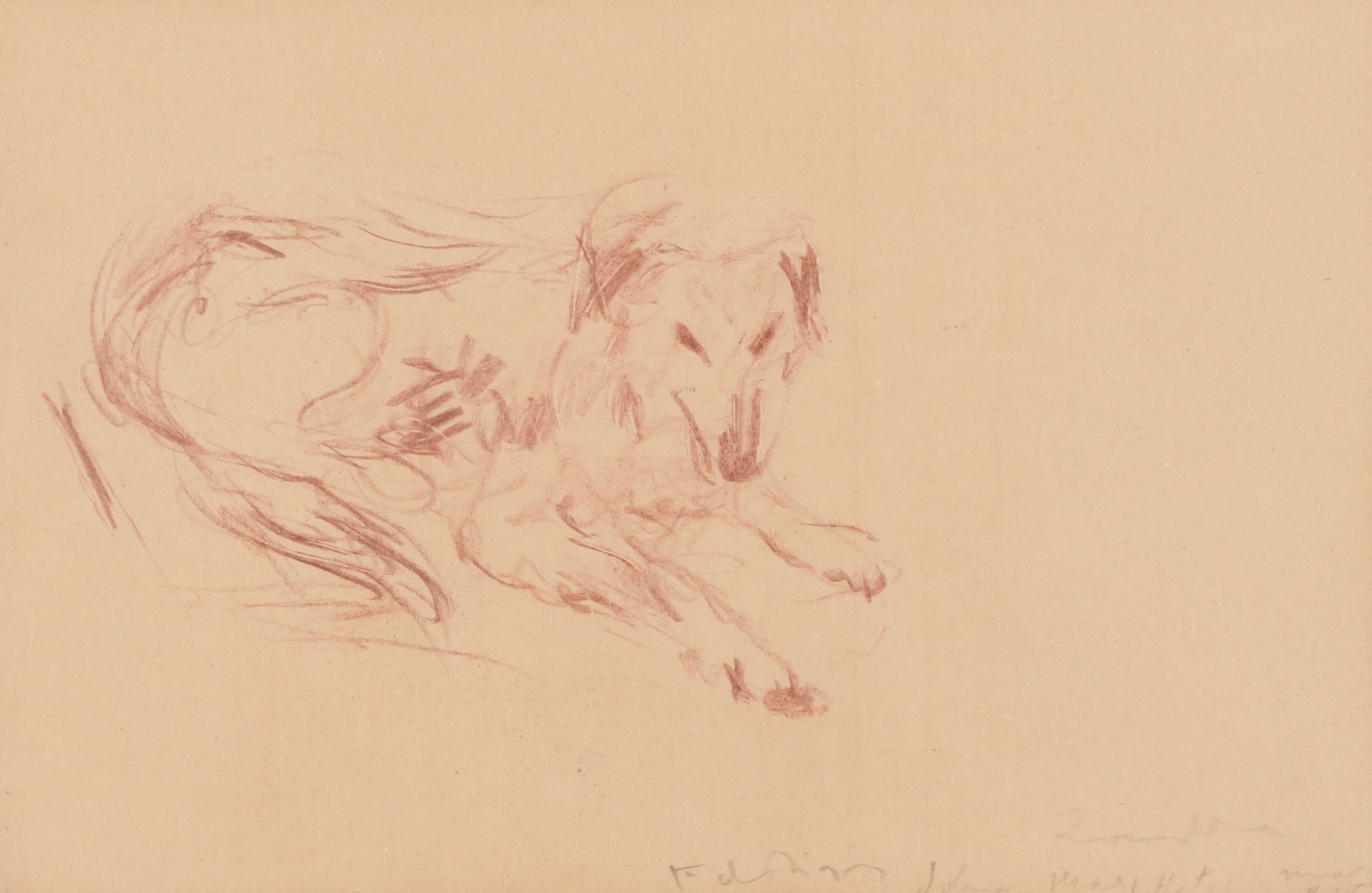 Artwork by Filippo de Pisis, Cane, 1935, Made of matita su carta