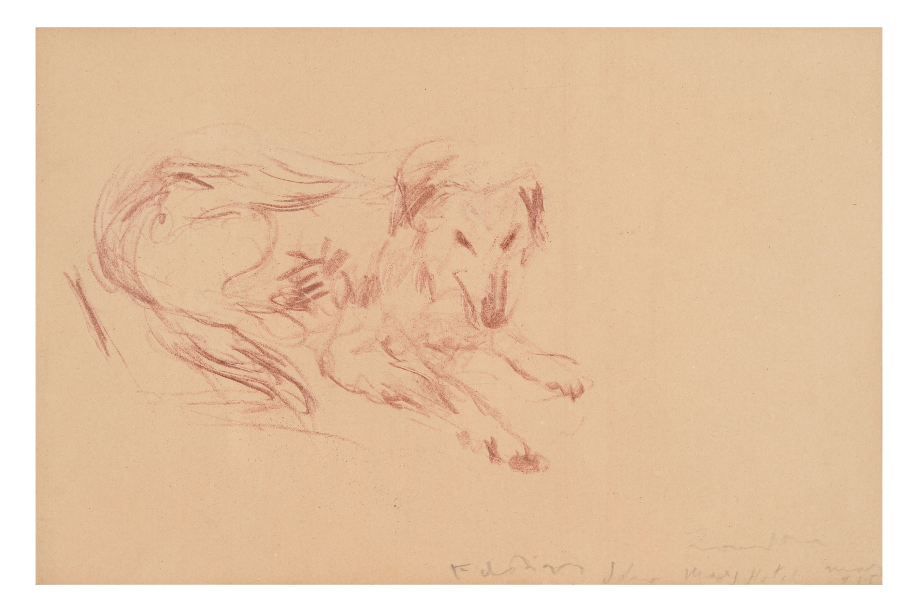 Artwork by Filippo de Pisis, Cane, 1935, Made of matita su carta