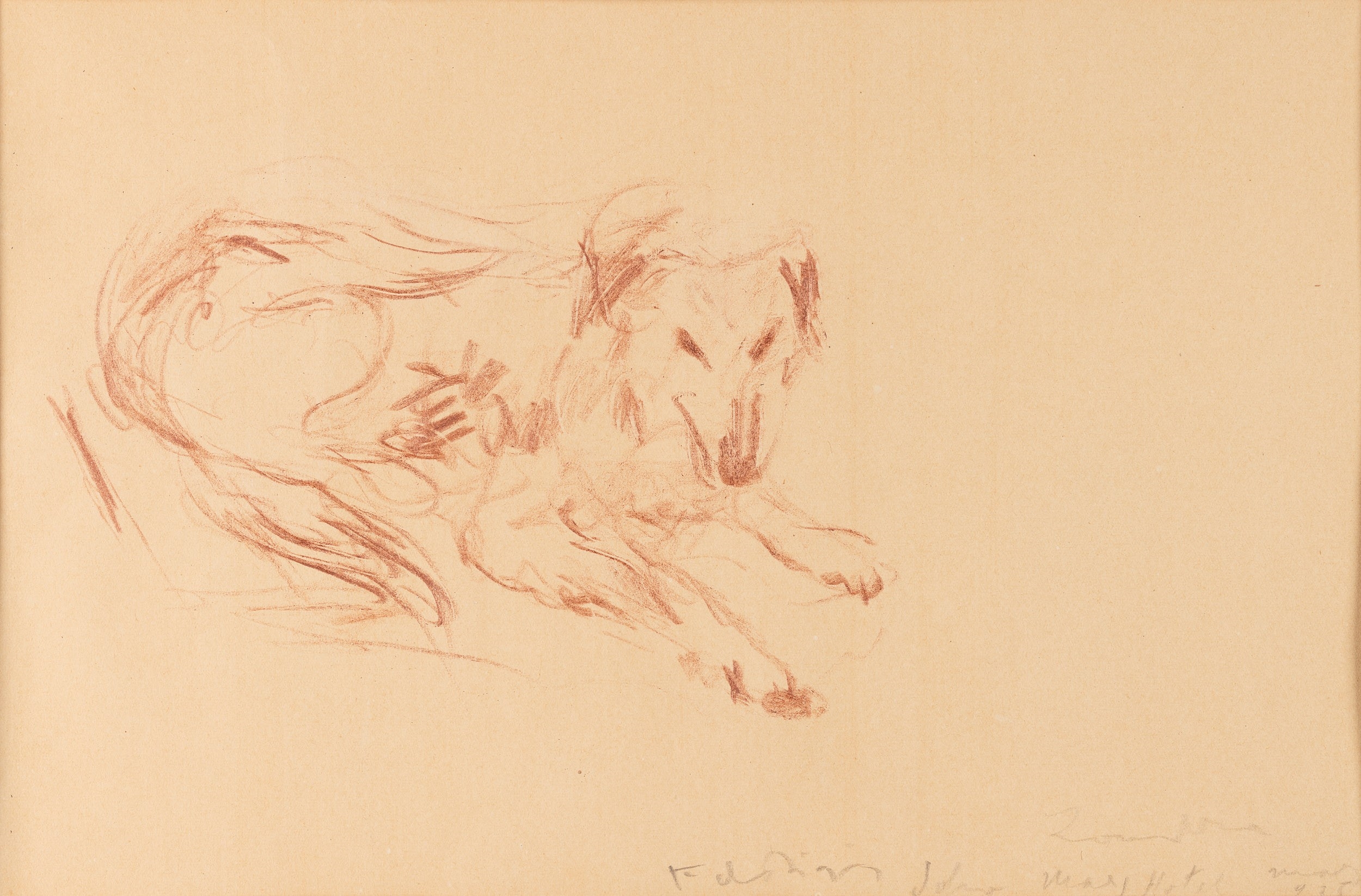 Artwork by Filippo de Pisis, Cane, 1935, Made of matita su carta