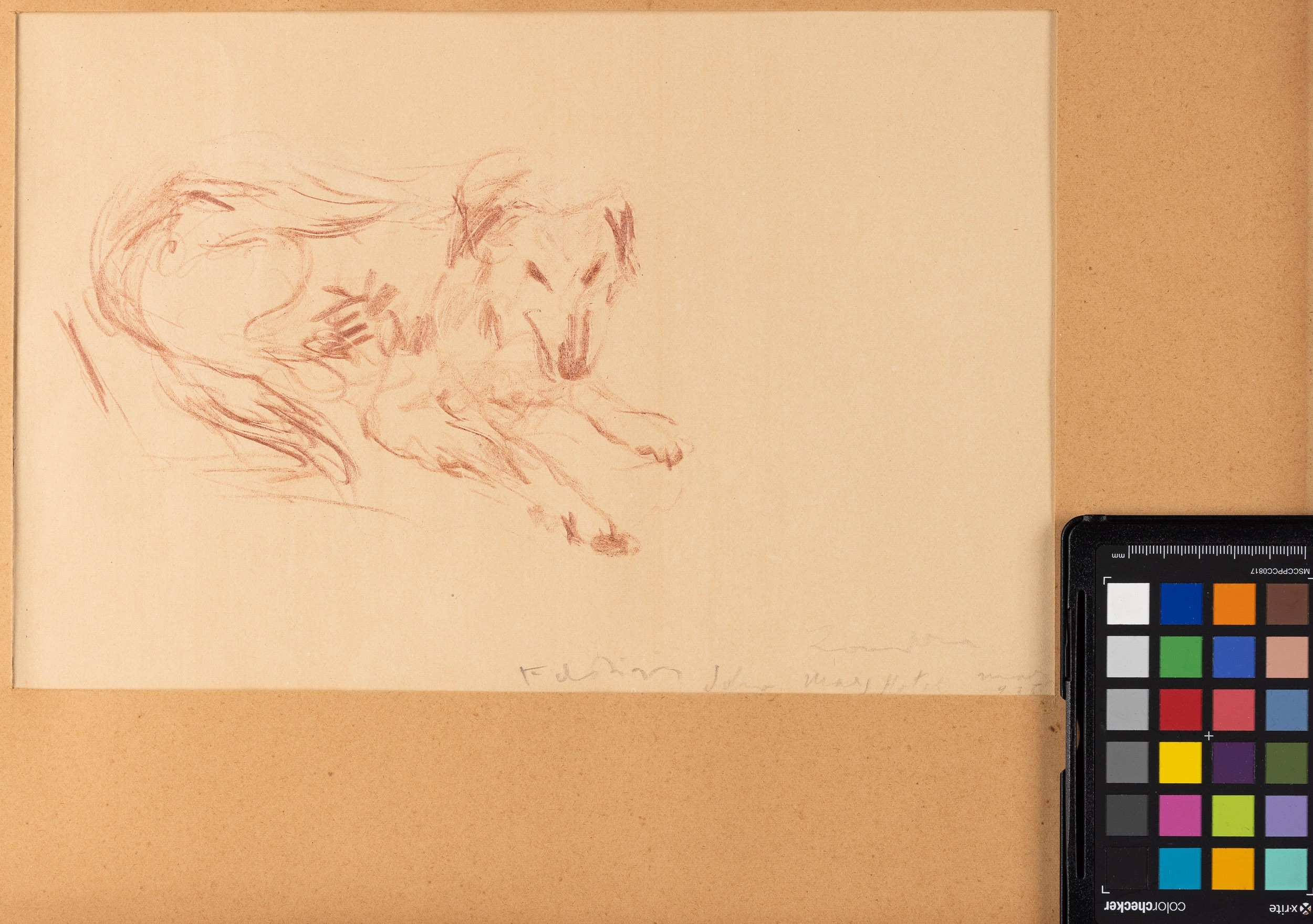 Artwork by Filippo de Pisis, Cane, 1935, Made of matita su carta