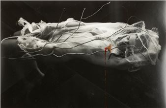 Una spina nel cuore, 2004