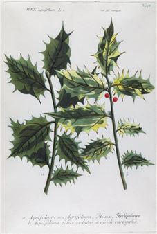 Season’s Greetings: Holiday Art from the Collection - Lyman Allyn Art Museum