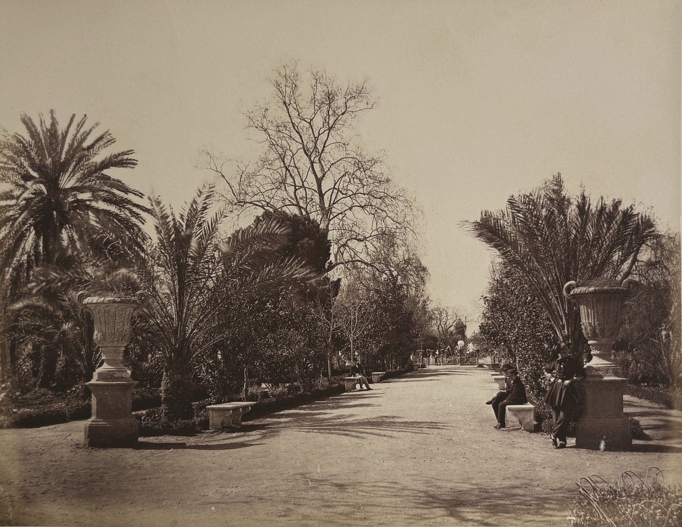 Artwork by Giorgio Sommer, Album featuring views of Sicily, Made of Albumen Prints