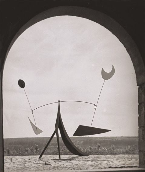 Iguana - Alexander Calder