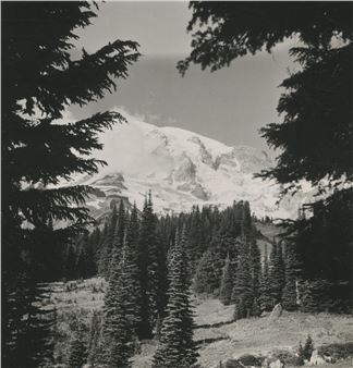 Theme 11 photos - Rossini