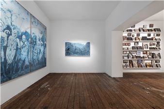 Danie Mellor: Dirran: At the Edge of the Forest