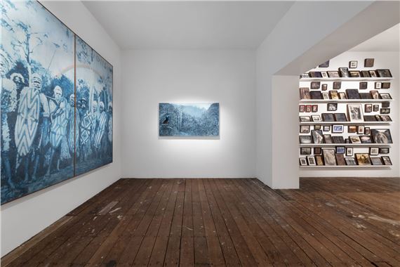 Danie Mellor: Dirran: At the Edge of the Forest - Cassandra Bird