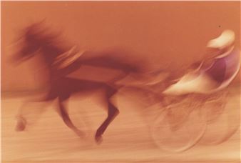 Der Sieger - Erwin Poferl