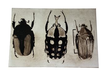 THREE ETCHINGS - Jane Raven