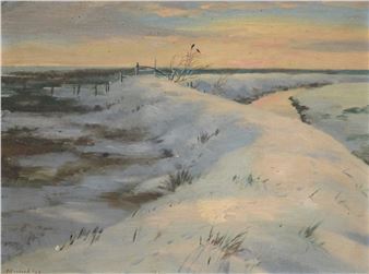 The Two Hoodie Crows - Denys Watkins-Pitchford