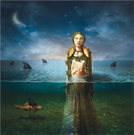 Twilight Swim - Maggie Taylor