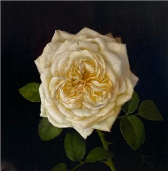 Raquel Cox: Beauty, Seen and Felt - Pence Gallery