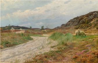 Dune Landscape on Bornholm with Sheep