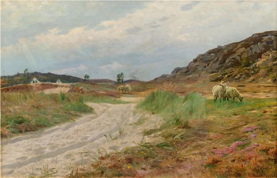 Dune Landscape on Bornholm with Sheep