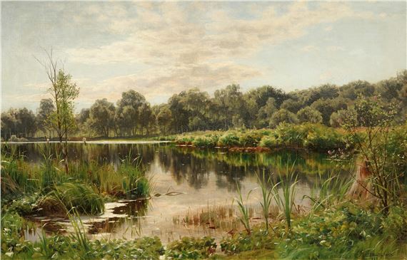 Lake Scenerey in Sun Light