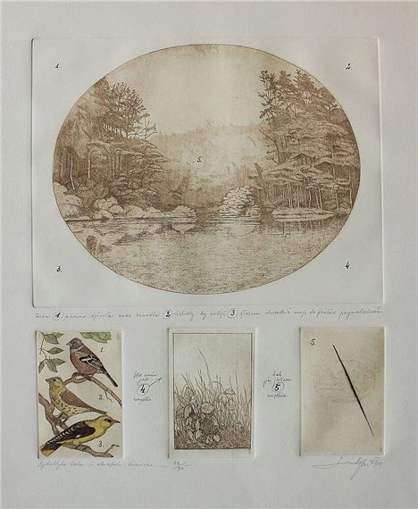 Dydaktyka lata - Leszek Rózga