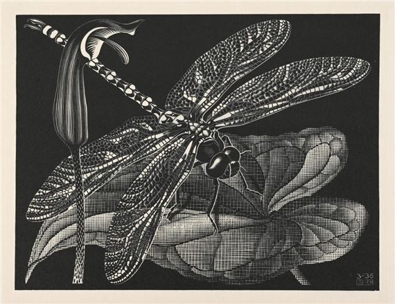 Libellula (Dragonfly) by Maurits Cornelis Escher, March 1936