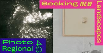 The 46th PhotoRegional: Seeking New Landscapes