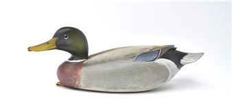 Mallard - George Strunk