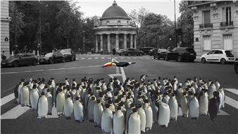 Andrea Branzi & Stefano Boeri: Animals in the City - Fondation Cartier