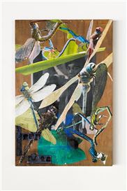 The Best Things to See at Art Basel Paris