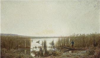 Barque et cerf dans un marais