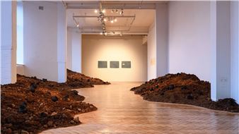 Eleventh edition opens