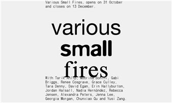 Various Small Fires - Gertrude Contemporary
