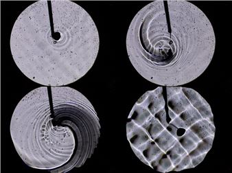 Attila Csörgő: Fluid Shapes