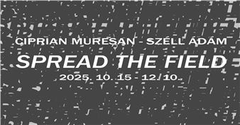 Ciprian Mureșan & Széll Ádám: Spread The Field - Horizont Gallery
