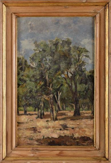 Sobreiros - Fanny Munró