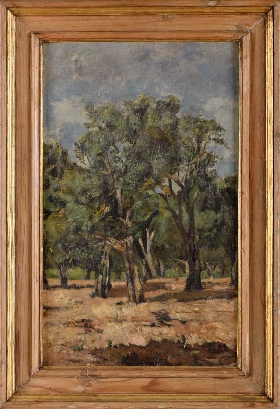 Artwork by Fanny Munró, Sobreiros, Made of oil on canvas