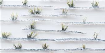 Harry Geffert: Metamorphosis - Cris Worley Fine Arts