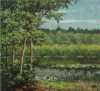 A view from the bank of a lake