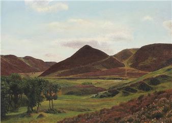 Landscape with heather hills near Ry