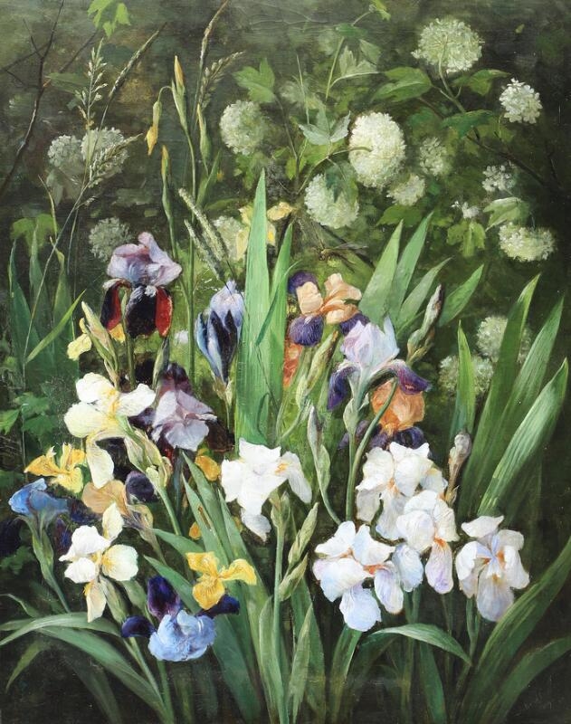 Artwork by Julie Hamann, Flowering Iris, Made of Oil On Canvas