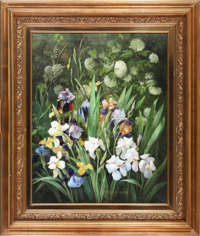 Artwork by Julie Hamann, Flowering Iris, Made of Oil On Canvas