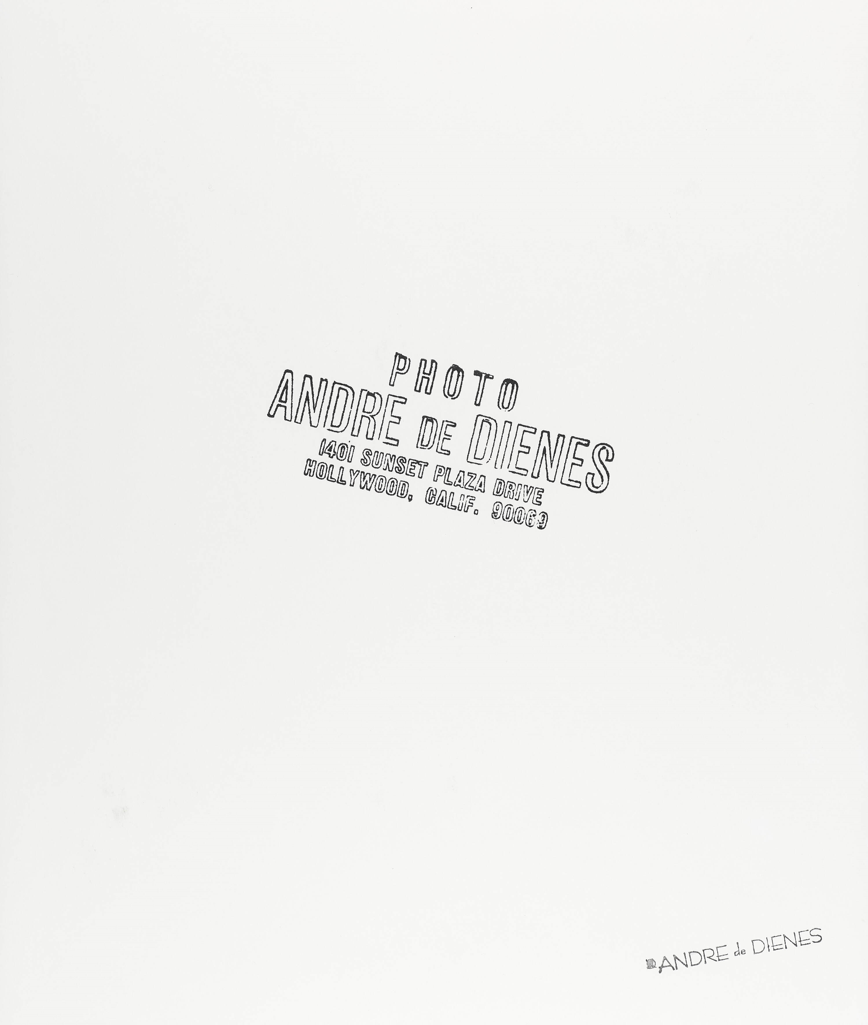 Artwork by Andre de Dienes, Marilyn Monroe (Army Blanket Sitting, Made of Gelatin Silver Print