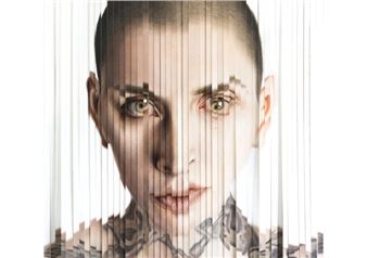 A Fine Art Collection of Technical Virtuosity