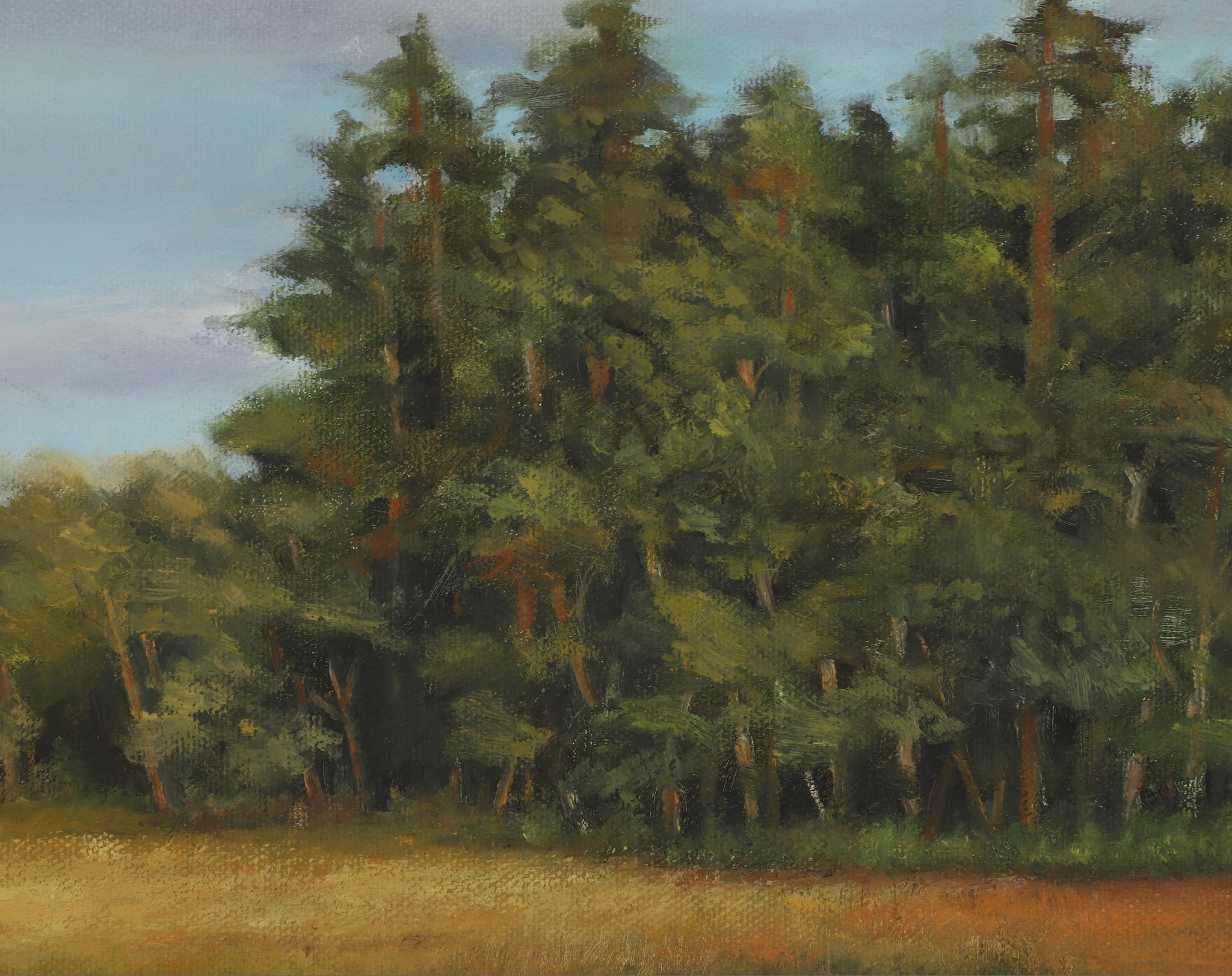 Artwork by Stan Moeller, Spring Salt Marsh, Maine, Made of Oil On Canvas
