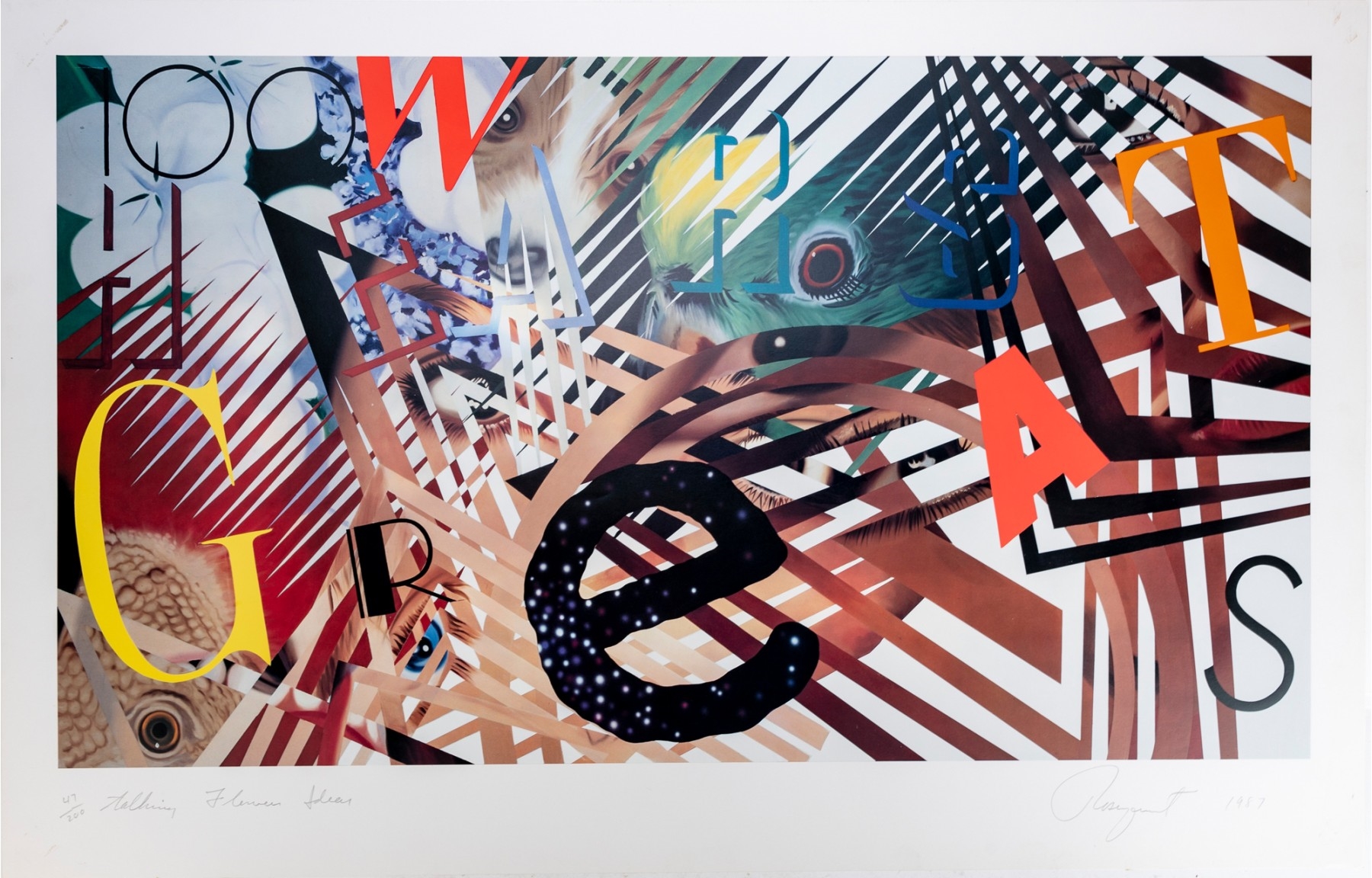 Artwork by James Rosenquist, Talking Flowers, Ideas, Made of Pencil